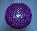 IGLH0165_puple